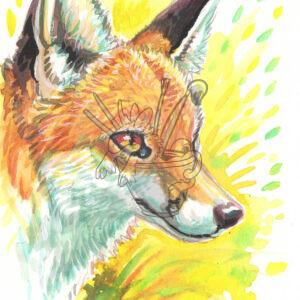 Beam Fox