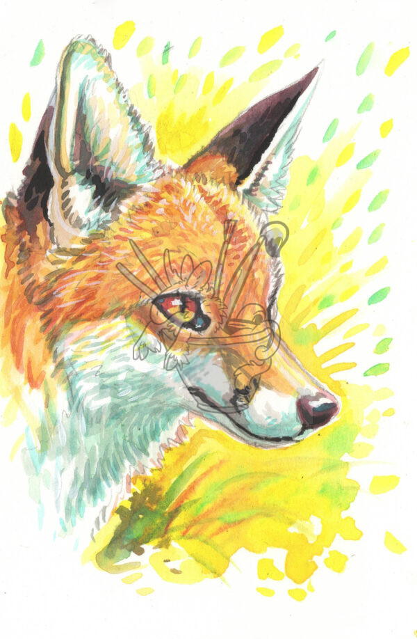 Beam Fox