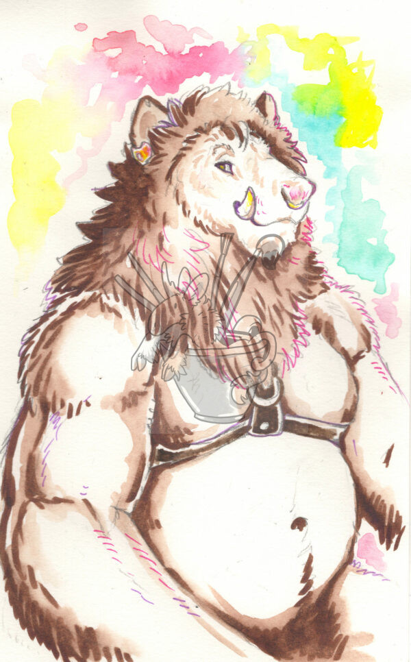 Pride Lion-Boar