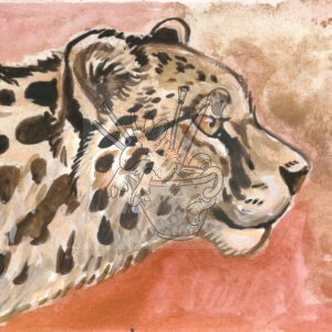 Spots and Gold