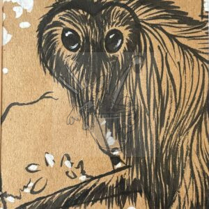 Local Cryptids in Your Area!